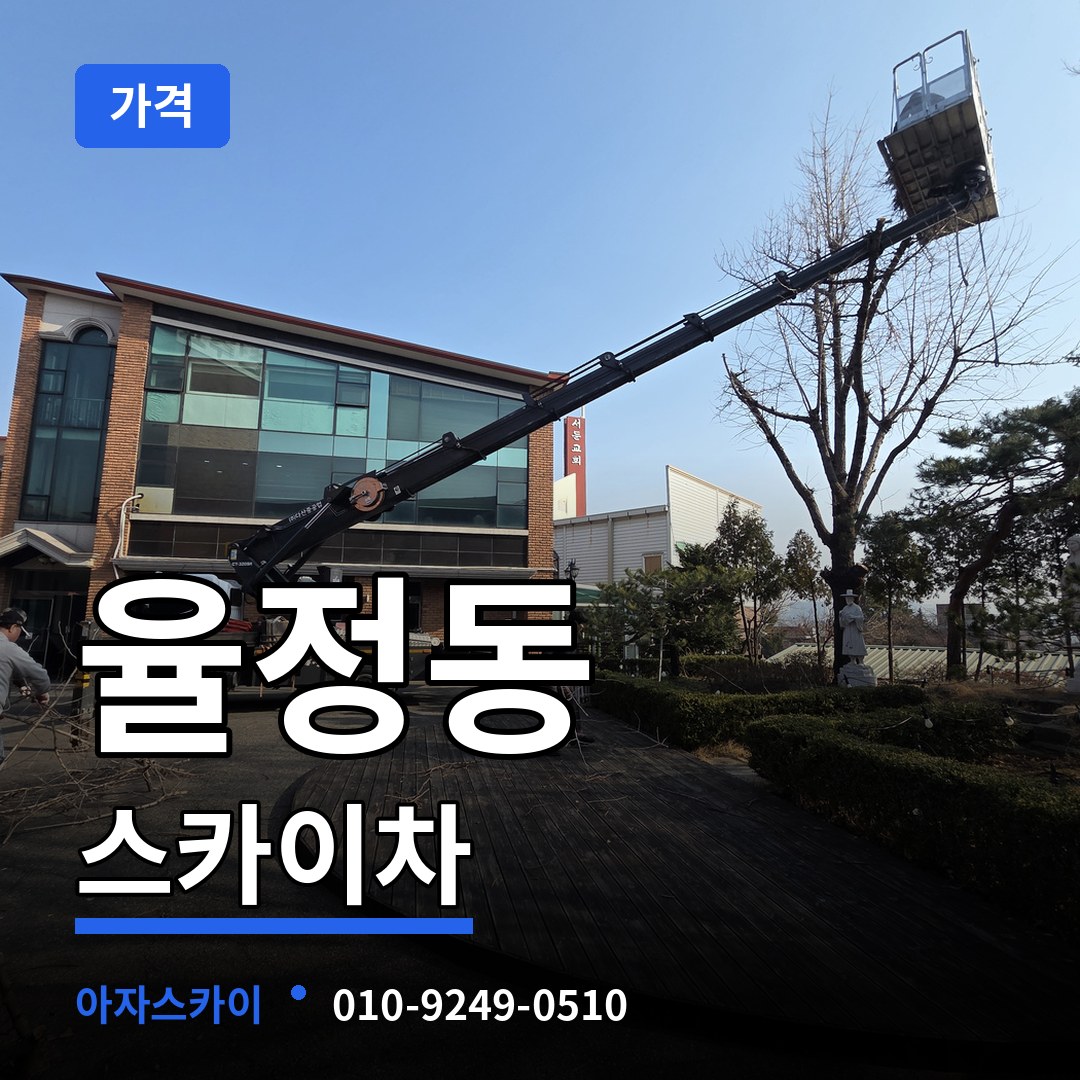 경기 양주시 율정동 스카이차 가격 작업 현장