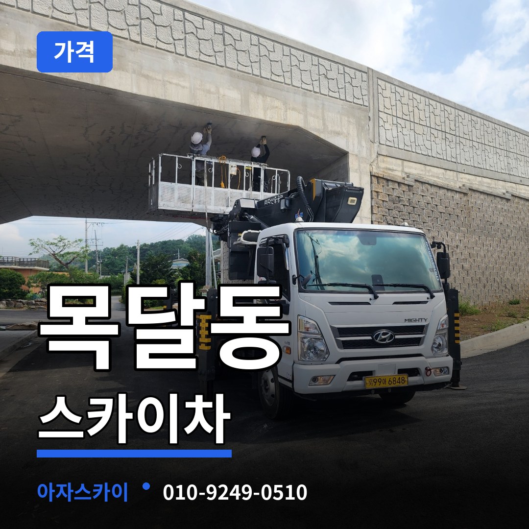 대전 중구 목달동 스카이차 가격 작업 현장