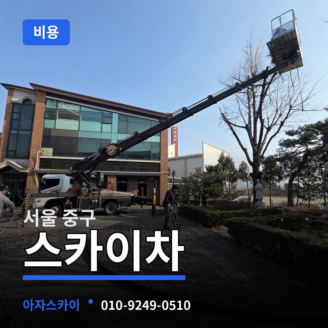 서울 중구 스카이차 비용 작업 현장