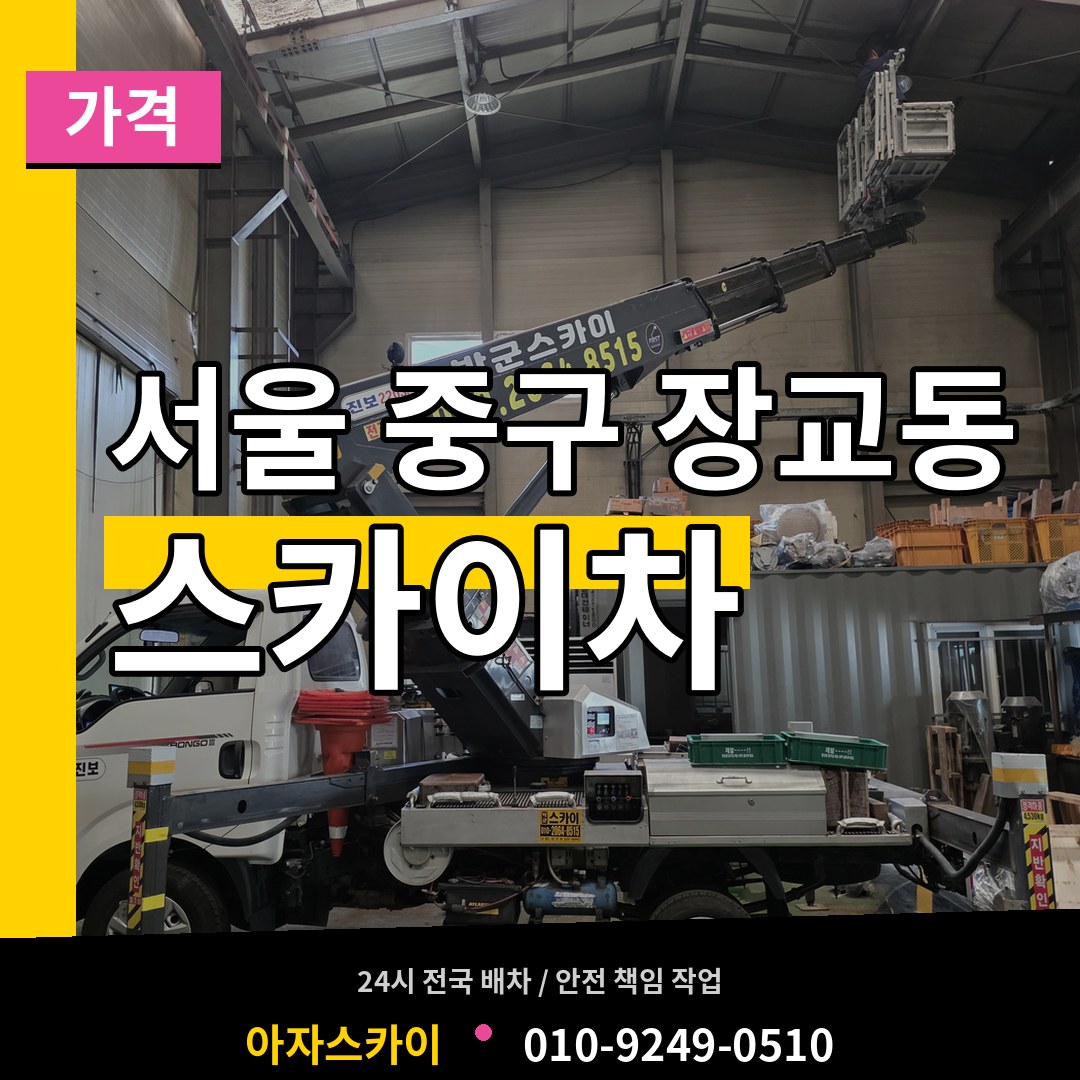 서울 중구 장교동 스카이차 가격 작업 현장