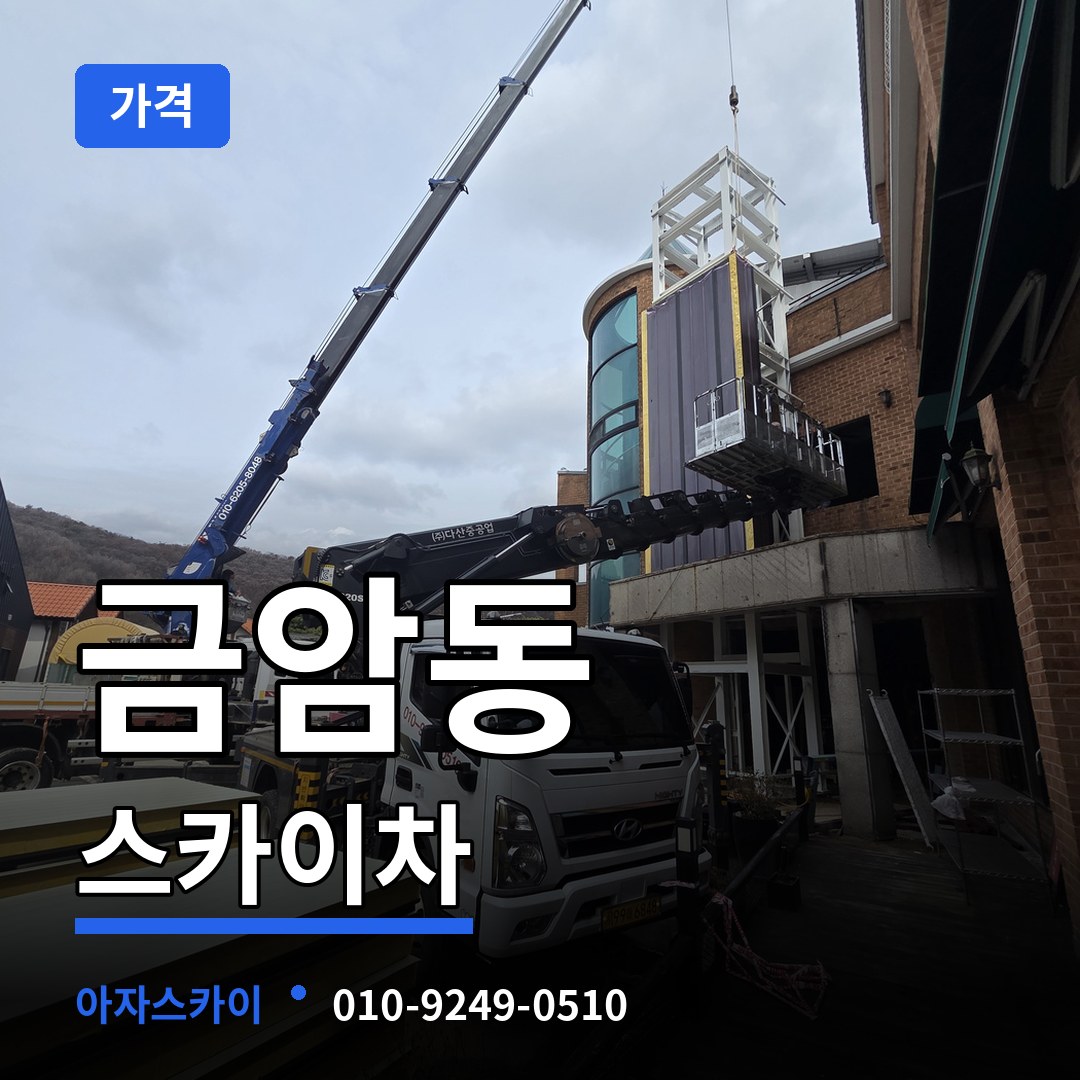충남 계룡시 금암동 스카이차 가격 작업 현장