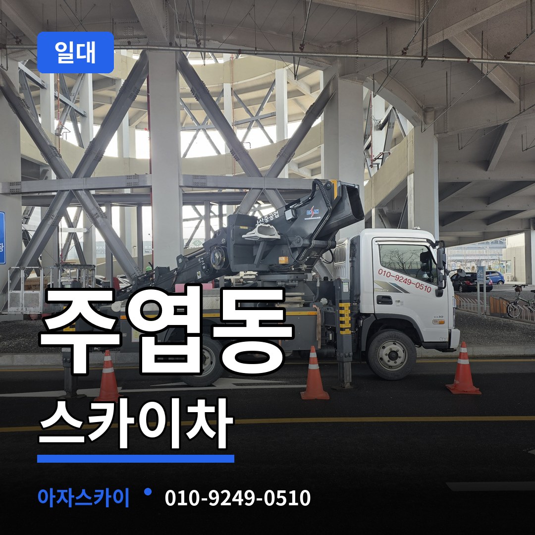 경기 고양시 주엽동 스카이차 일대 시공 사례