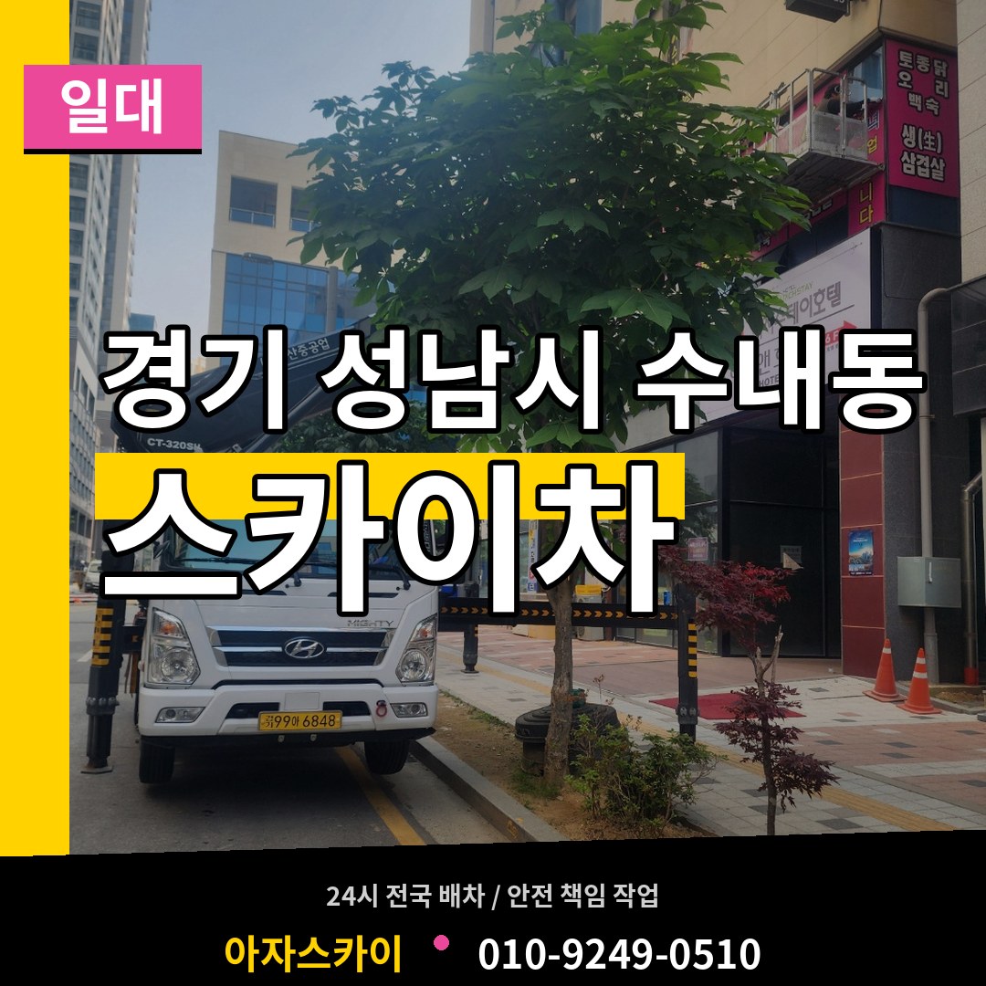 경기 성남시 수내동 스카이차 일대 시공 사례
