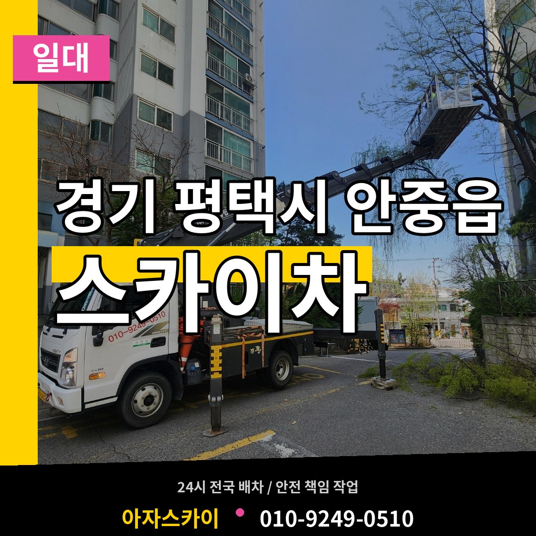 경기 평택시 안중읍 스카이차 일대 시공 사례