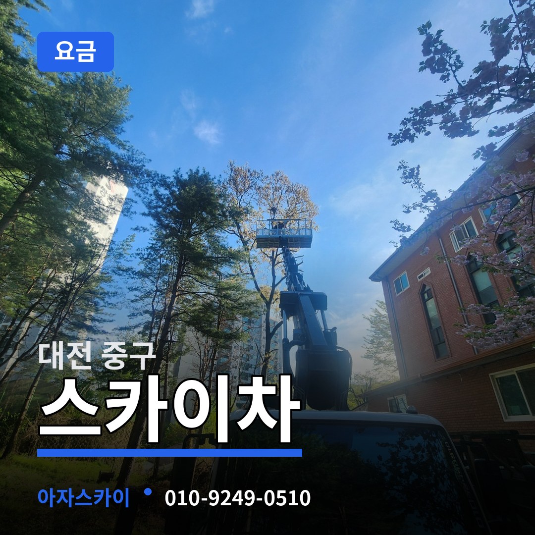 대전 중구 스카이차 요금 시공 사례