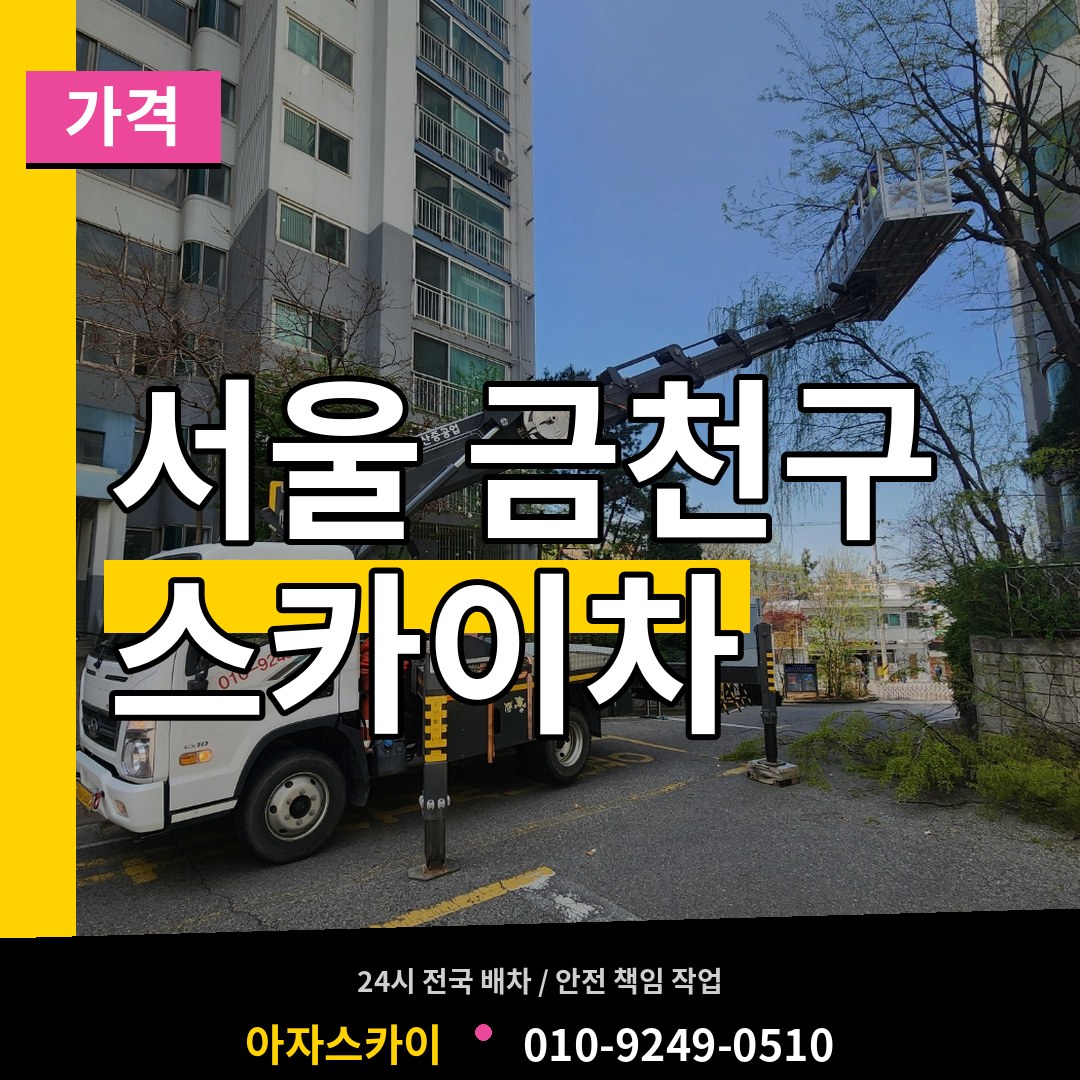 서울 금천구 스카이차 가격 시공 사례