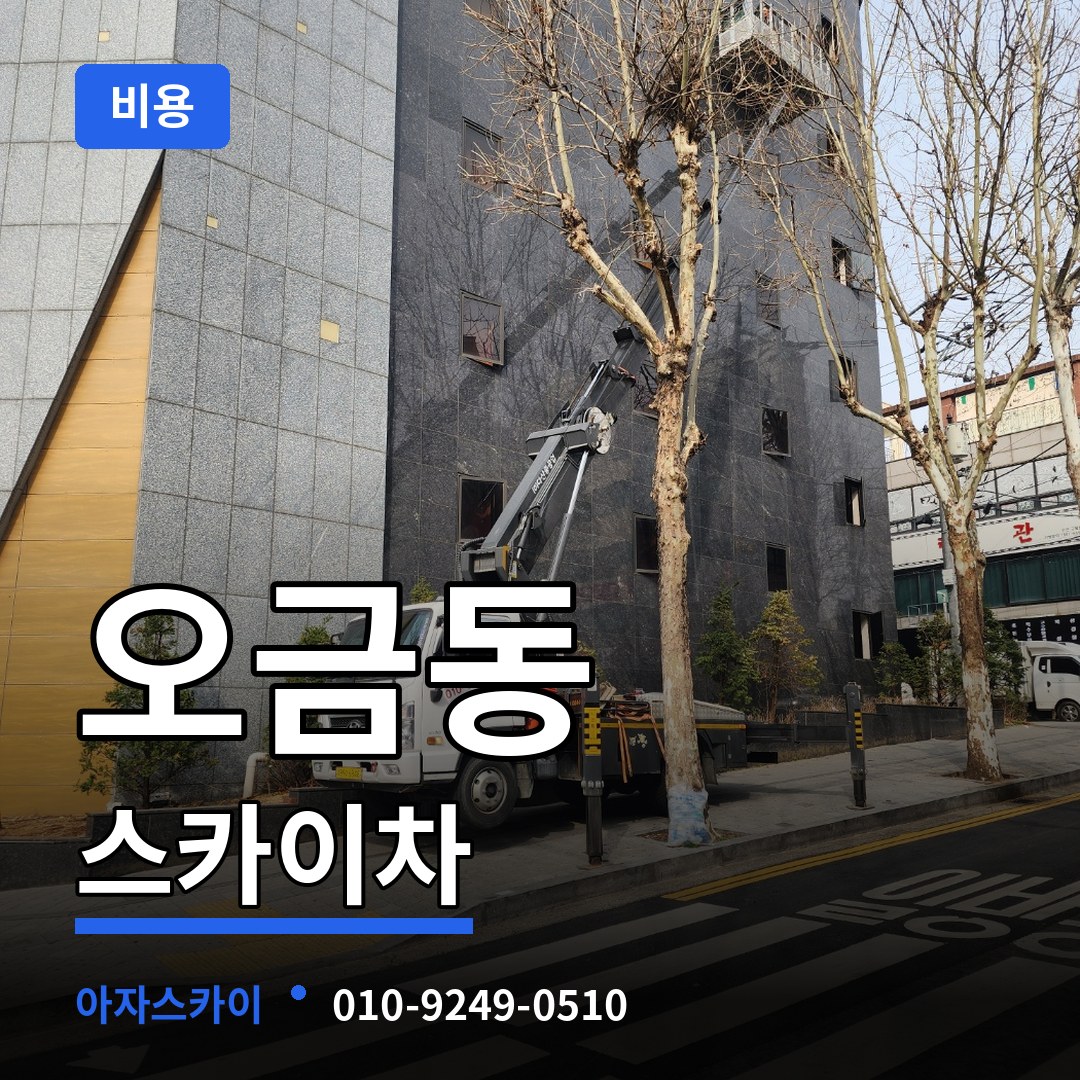 서울 송파구 오금동 스카이차 비용 시공 사례