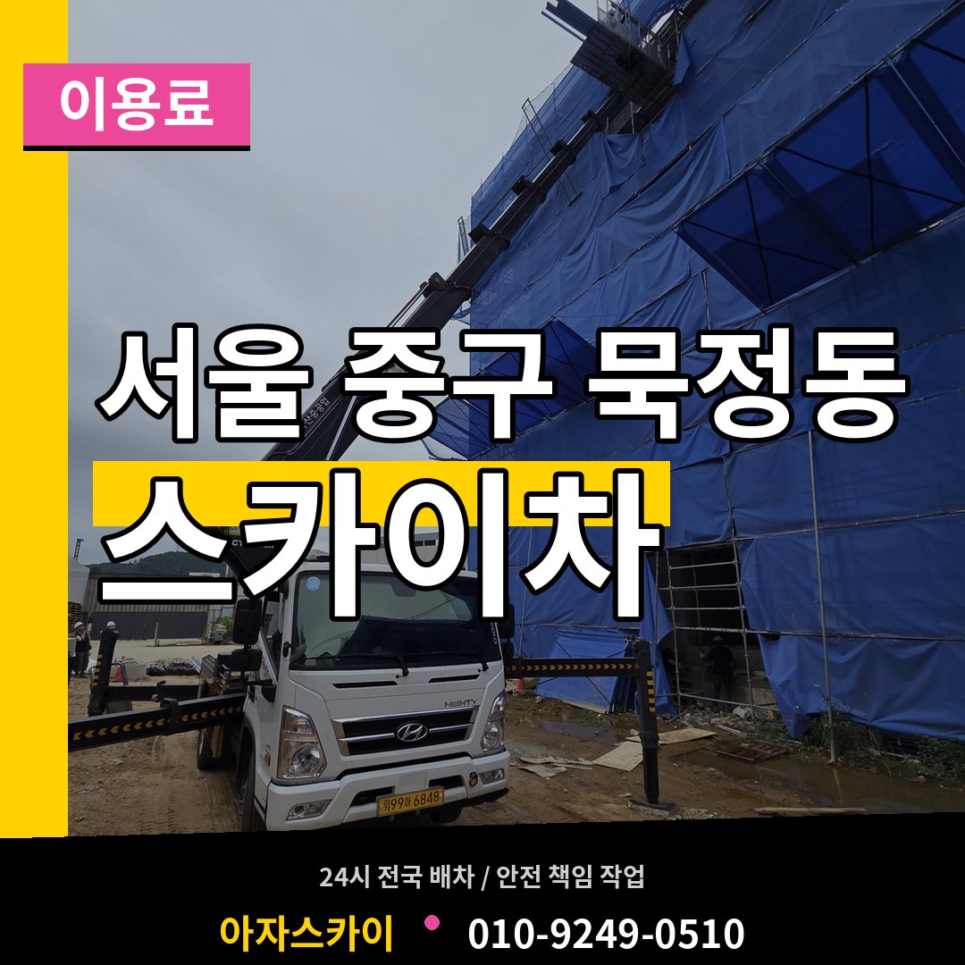 서울 중구 묵정동 스카이차 이용료 시공 사례