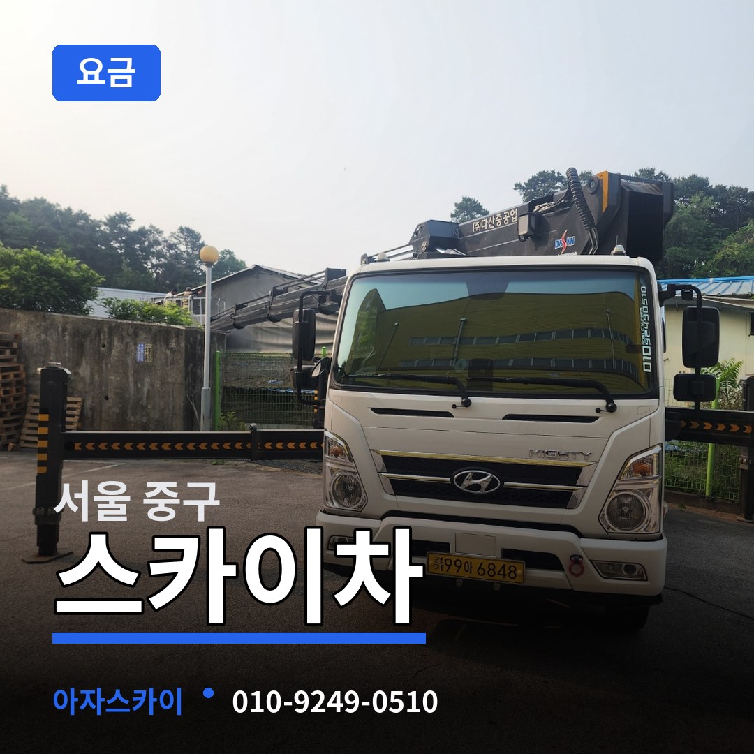 서울 중구 스카이차 요금 시공 사례