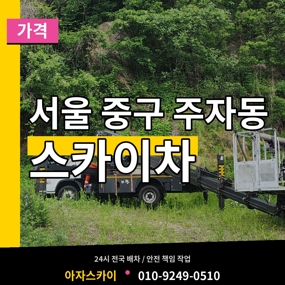 서울 중구 주자동 스카이차 가격 시공 사례