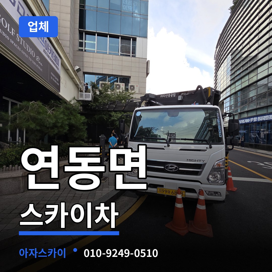 세종 세종시 연동면 스카이차 업체 시공 사례
