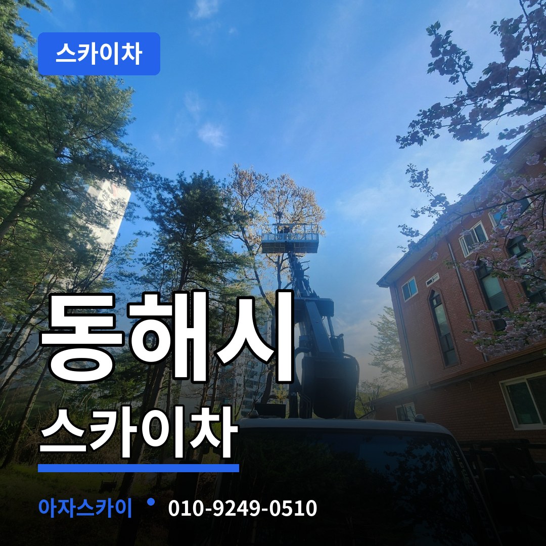 강원 동해시 스카이차 스카이차 작업 현장