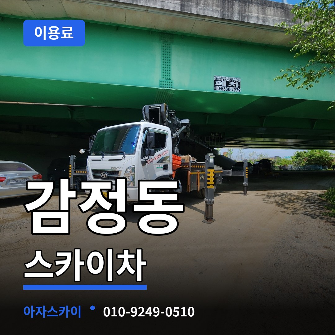 경기 김포시 감정동 스카이차 이용료