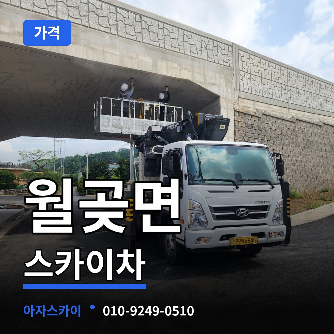 경기 김포시 월곶면 스카이차 가격