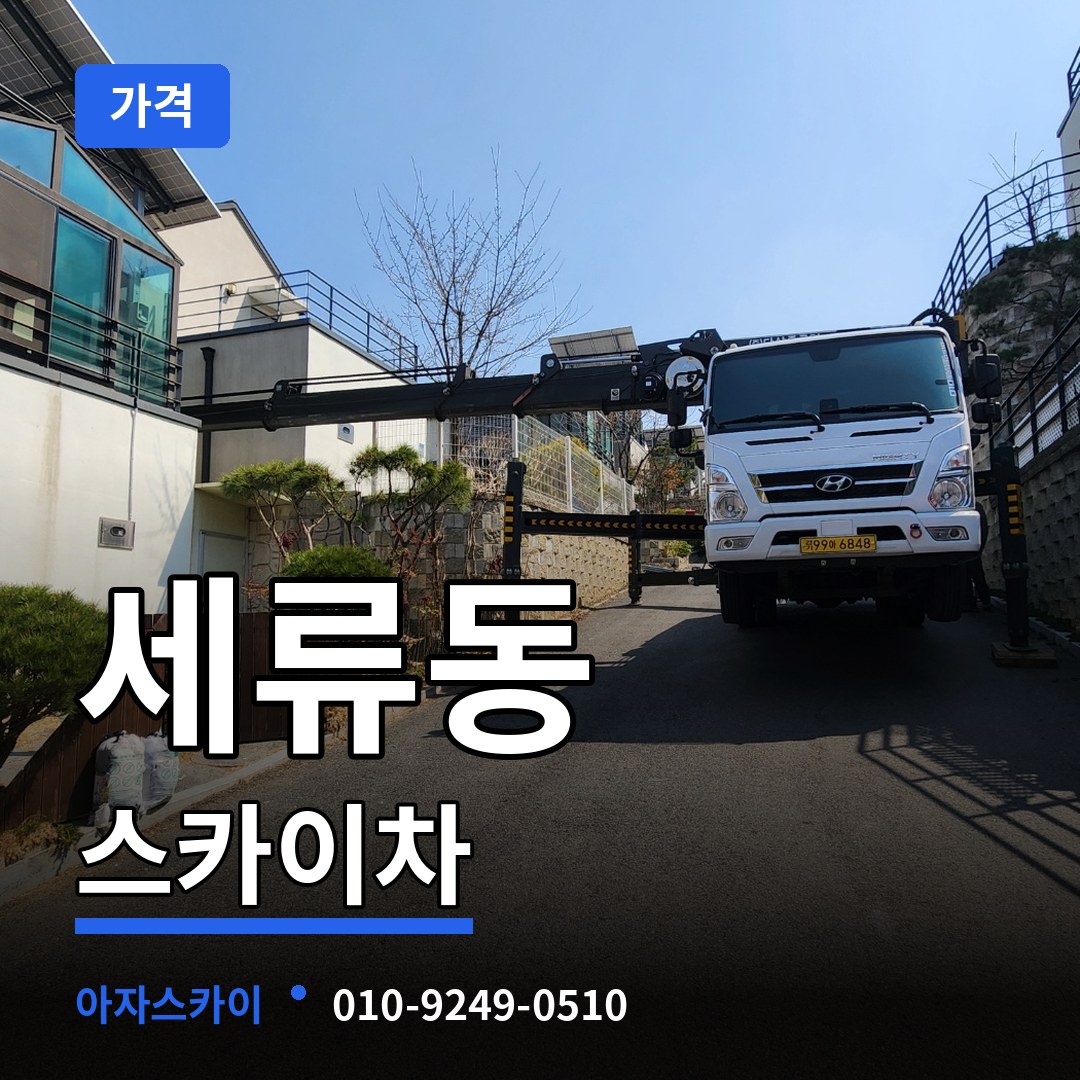 경기 수원시 세류동 스카이차 가격