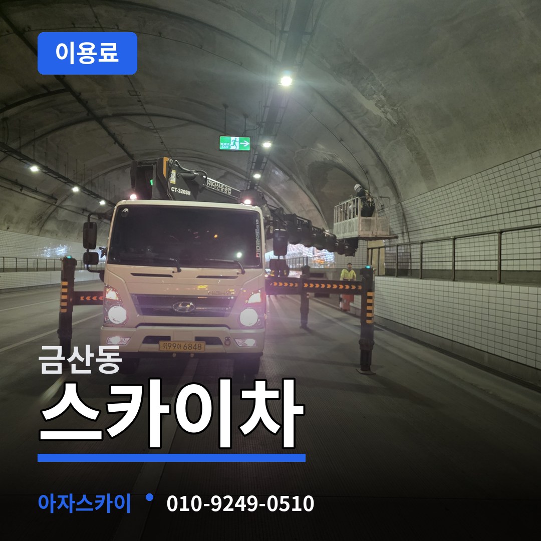 경기 안성시 금산동 스카이차 이용료