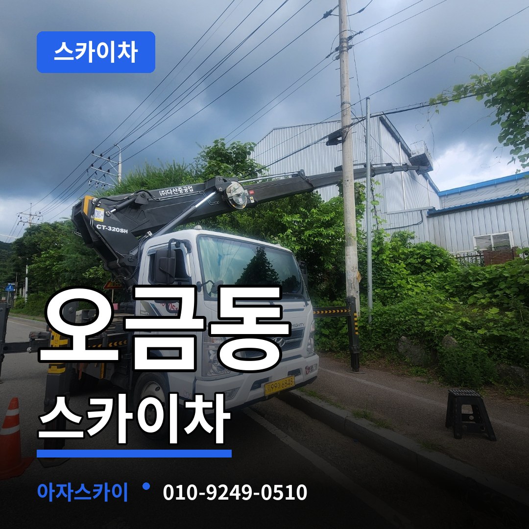 경기 여주시 오금동 스카이차