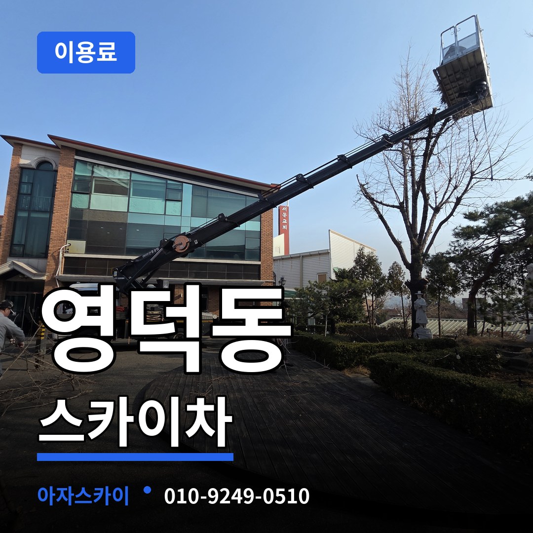 경기 용인시 영덕동 스카이차 이용료