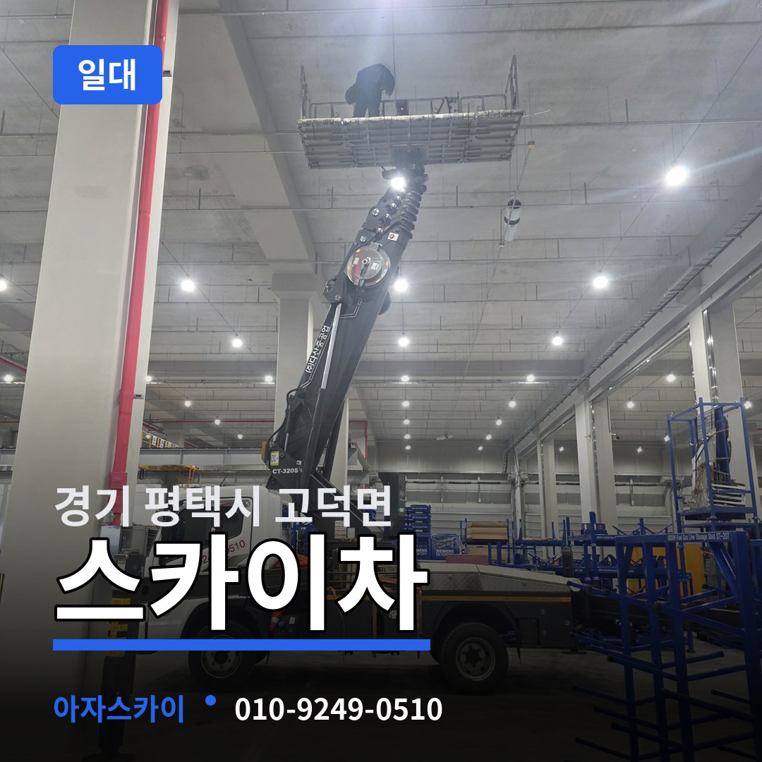 경기 평택시 고덕면 스카이차 일대