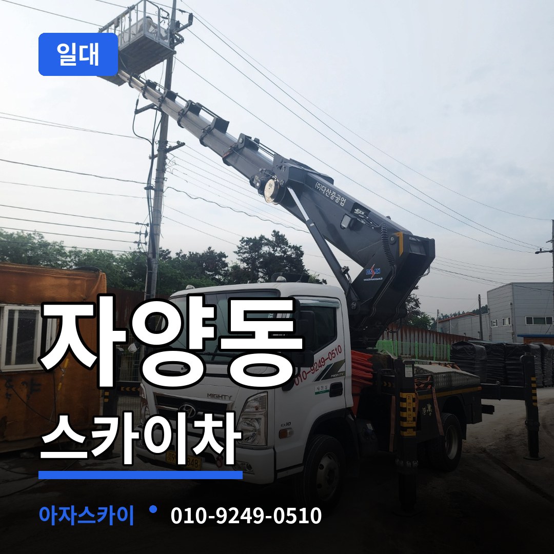 대전 동구 자양동 스카이차 일대