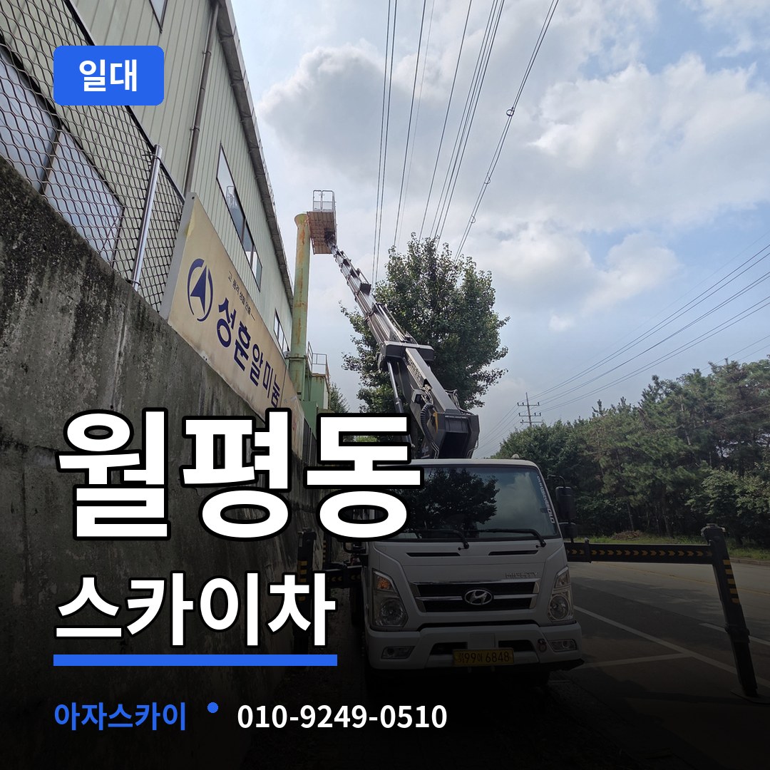 대전 서구 월평동 스카이차 일대