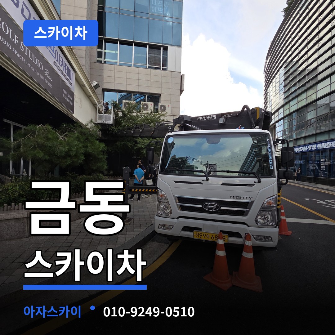 대전 중구 금동 스카이차