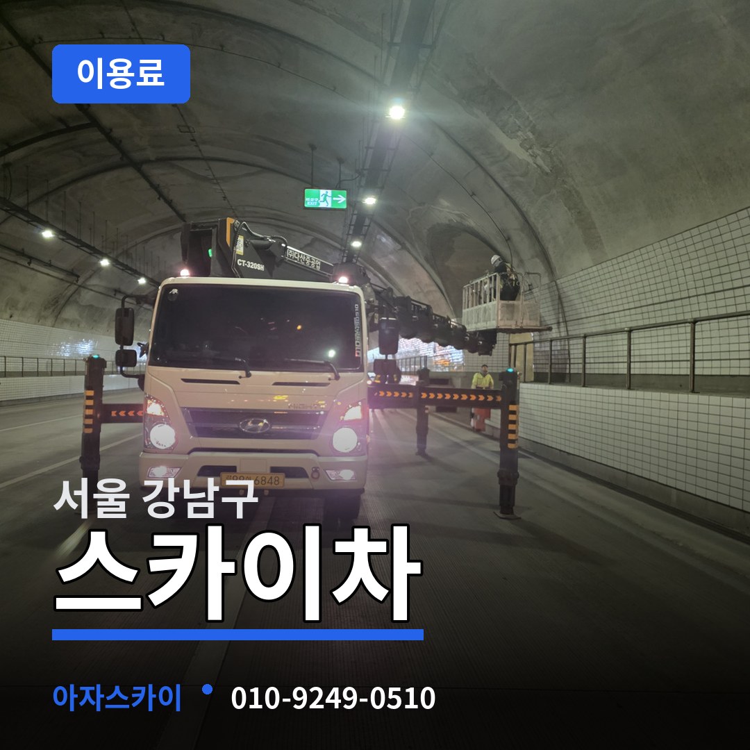 서울 강남구 스카이차 이용료
