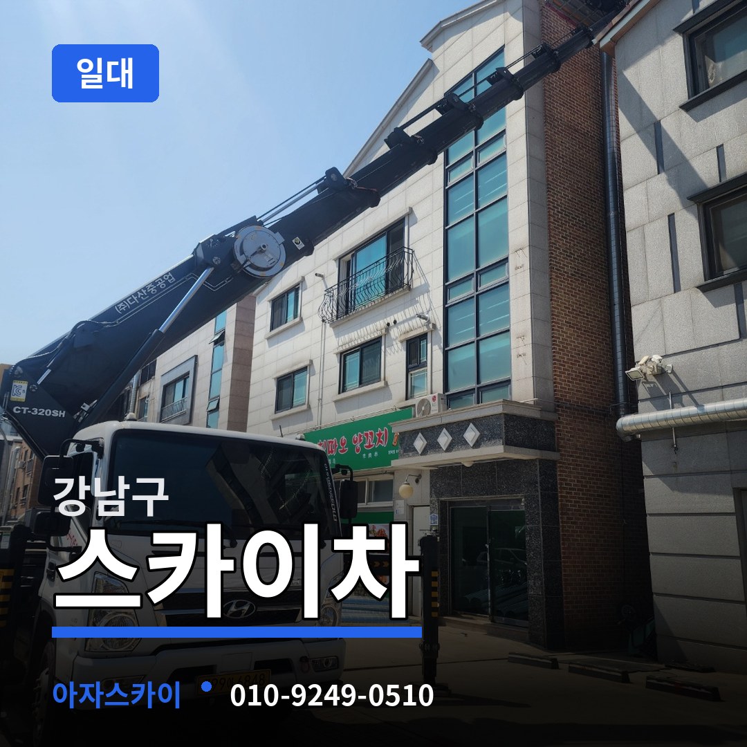 서울 강남구 스카이차 일대