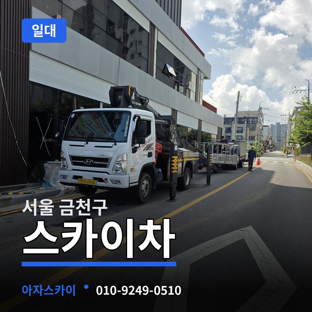 서울 금천구 스카이차 일대
