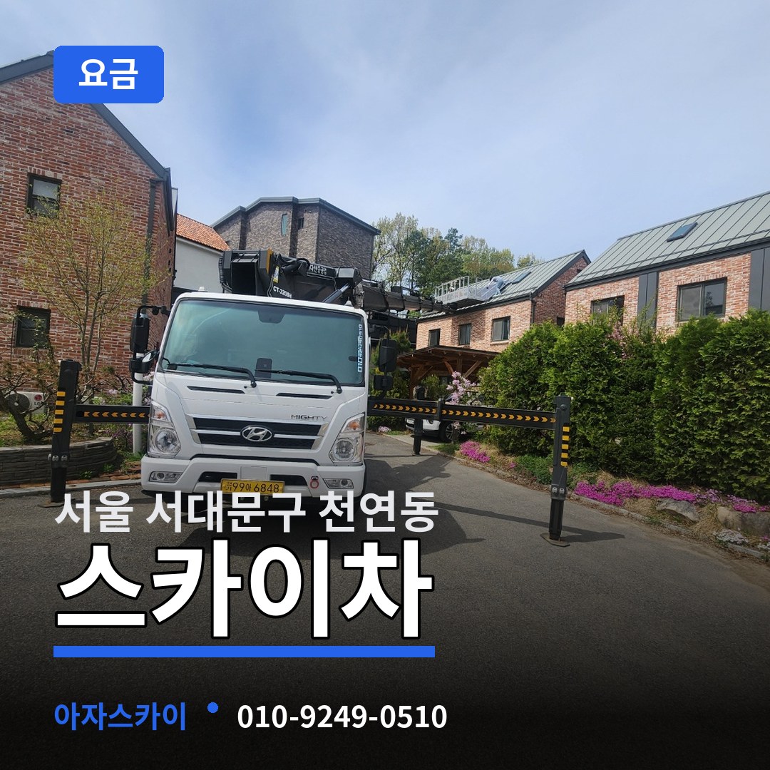 서울 서대문구 천연동 스카이차 요금