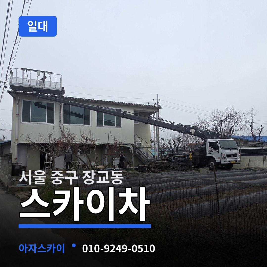 서울 중구 장교동 스카이차 일대