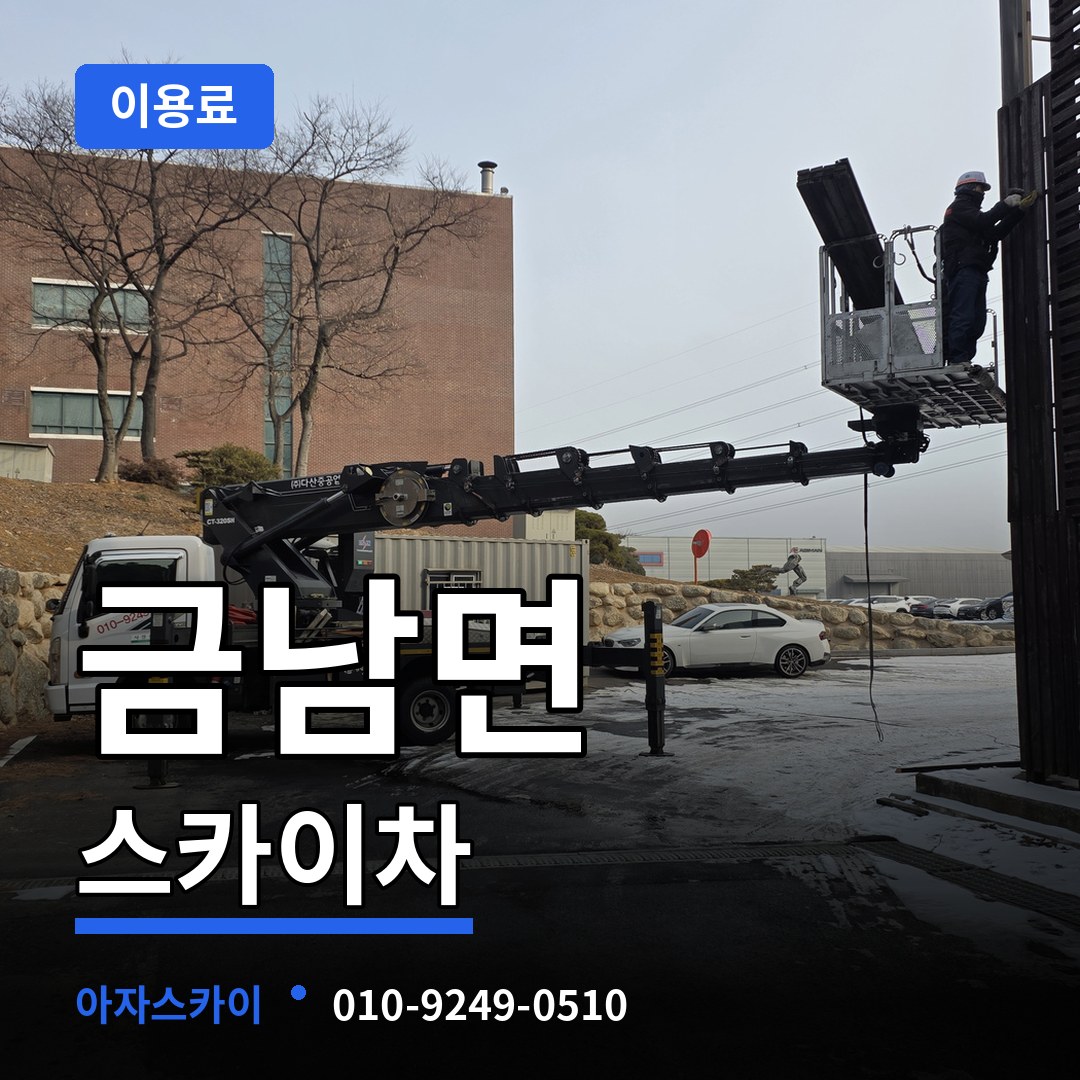 세종 세종시 금남면 스카이차 이용료