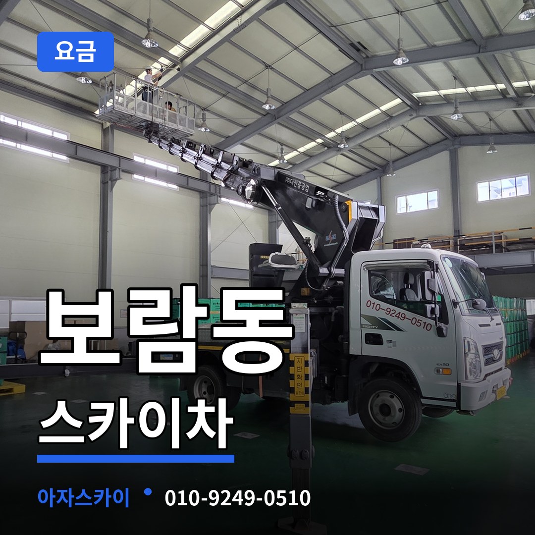 세종 세종시 보람동 스카이차 요금