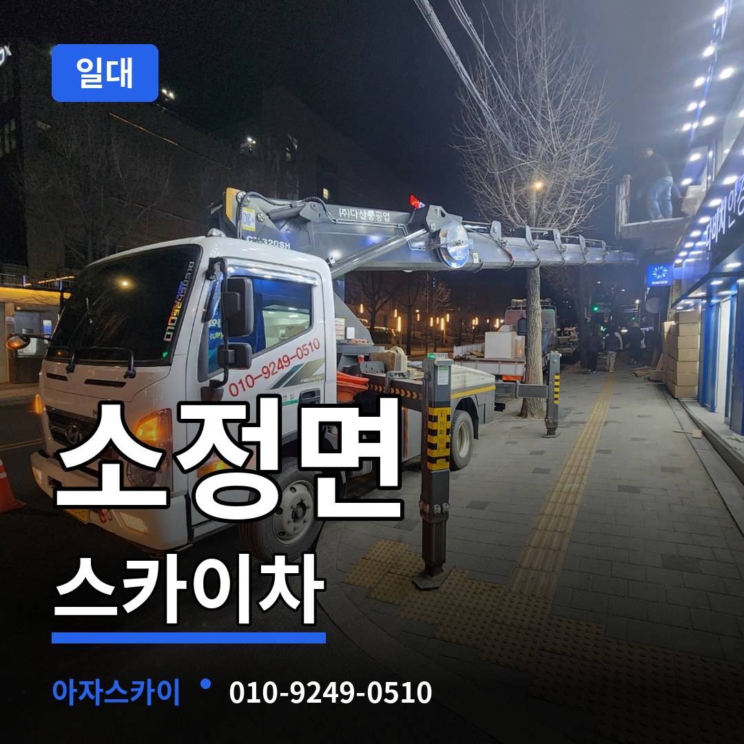 세종 세종시 소정면 스카이차 일대