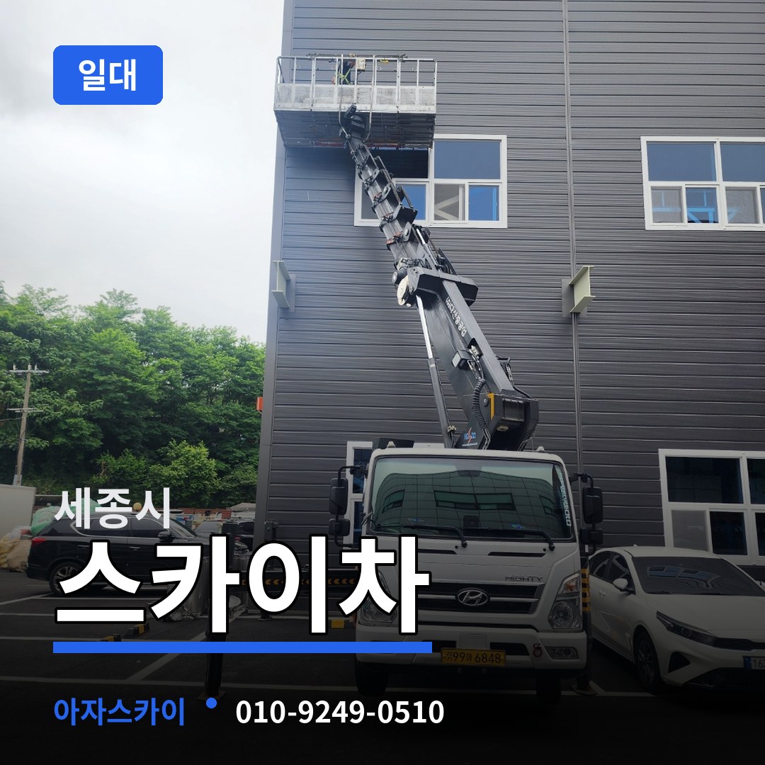 세종 세종시 스카이차 일대