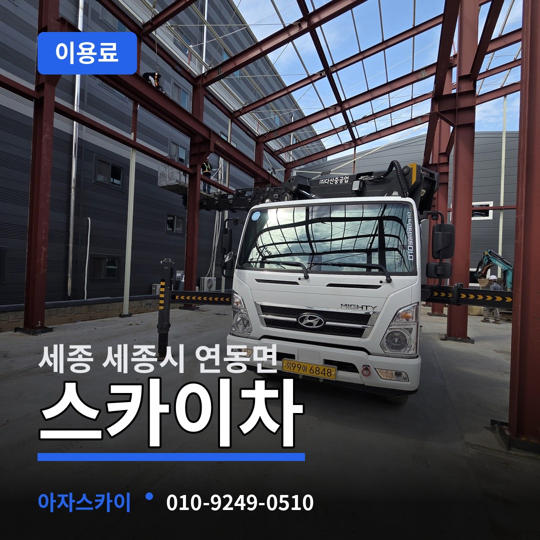 세종 세종시 연동면 스카이차 이용료