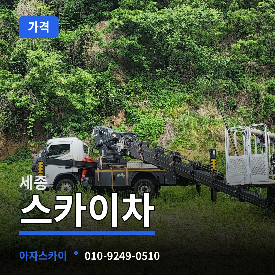 세종 스카이차 가격