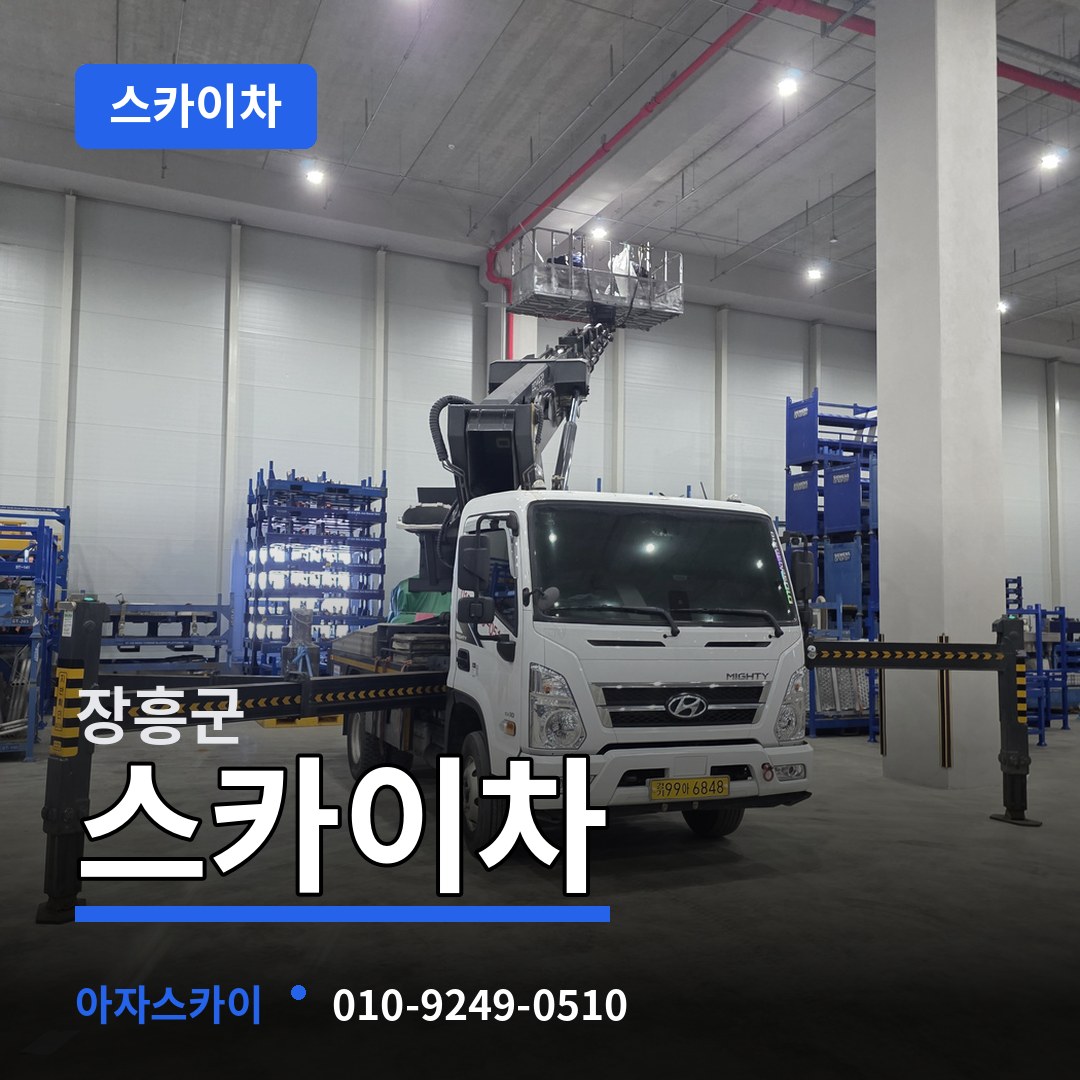 전남 장흥군 스카이차