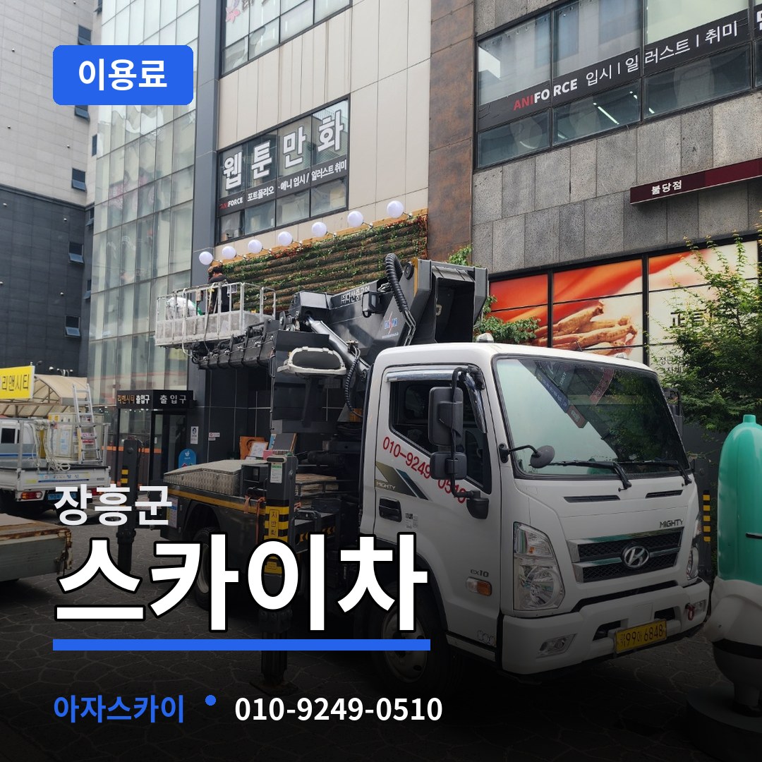 전남 장흥군 스카이차 이용료