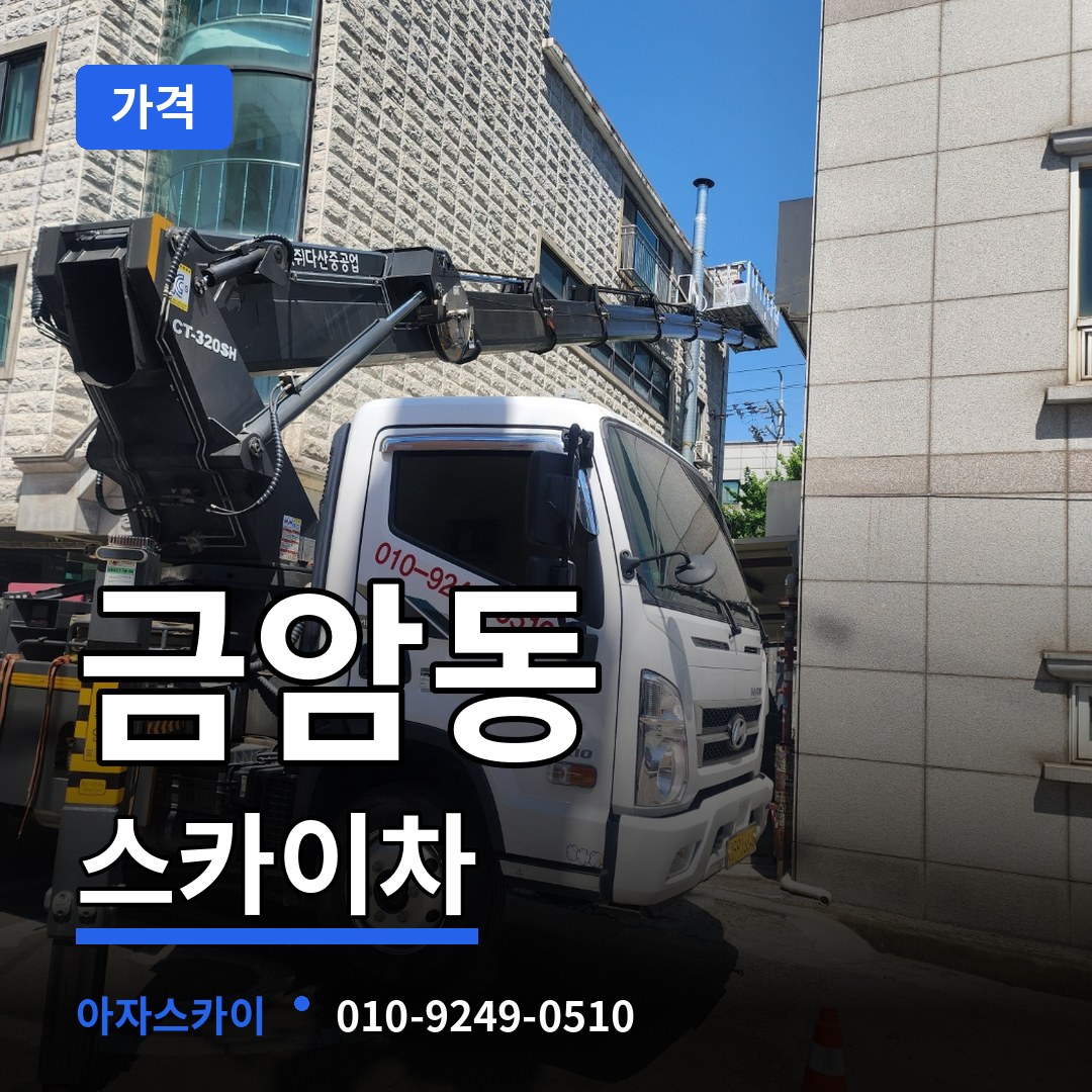 충남 계룡시 금암동 스카이차 가격