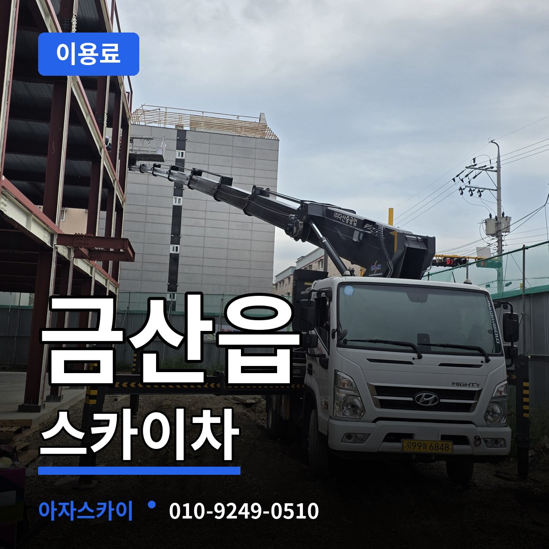 충남 금산군 금산읍 스카이차 이용료