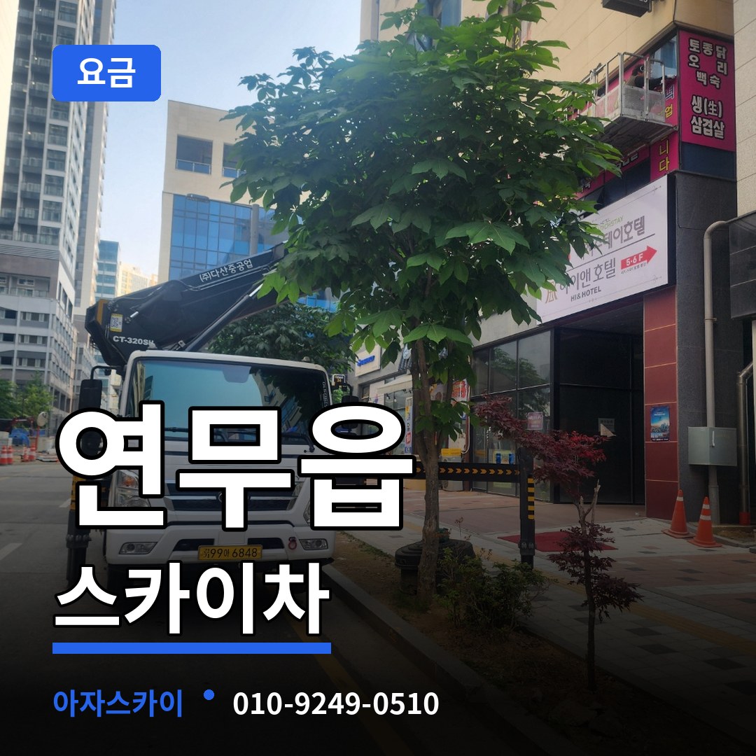 충남 논산시 연무읍 스카이차 요금