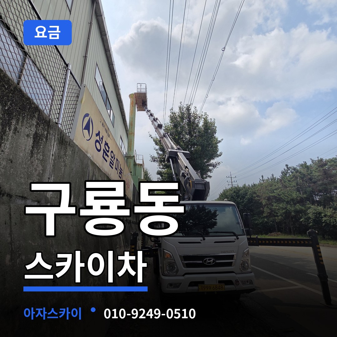 충남 당진시 구룡동 스카이차 요금