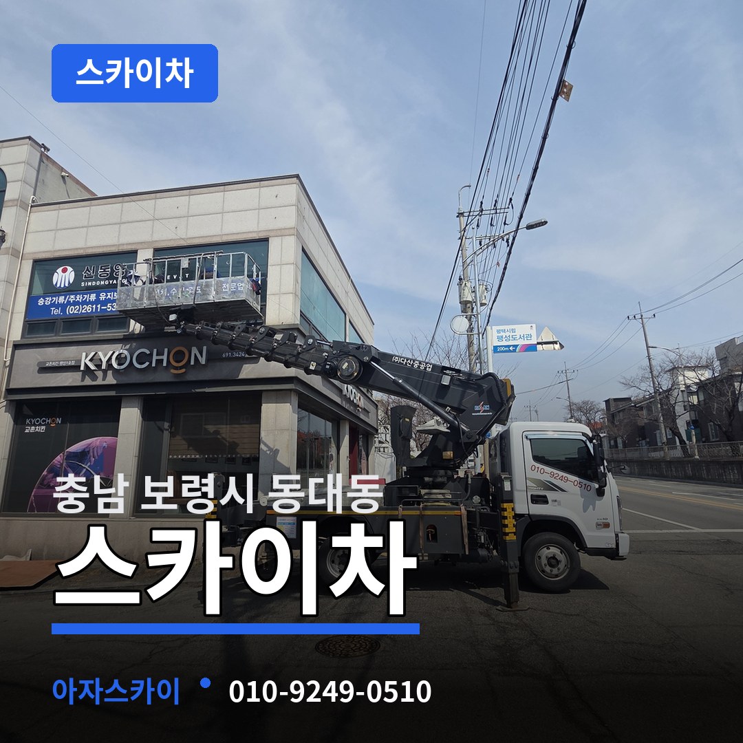 충남 보령시 동대동 스카이차