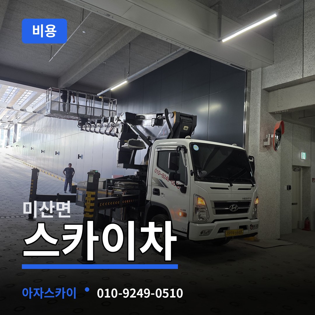 충남 보령시 미산면 스카이차 비용