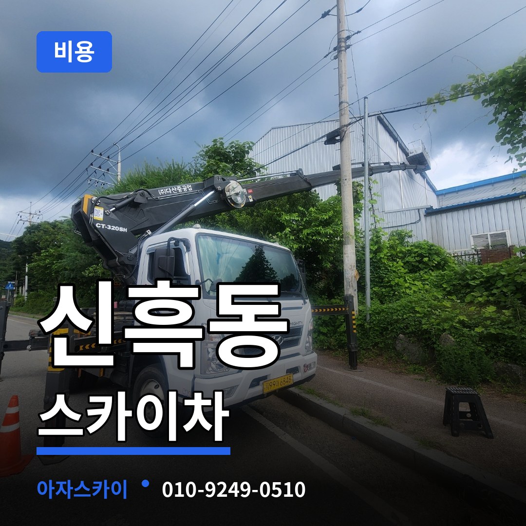 충남 보령시 신흑동 스카이차 비용