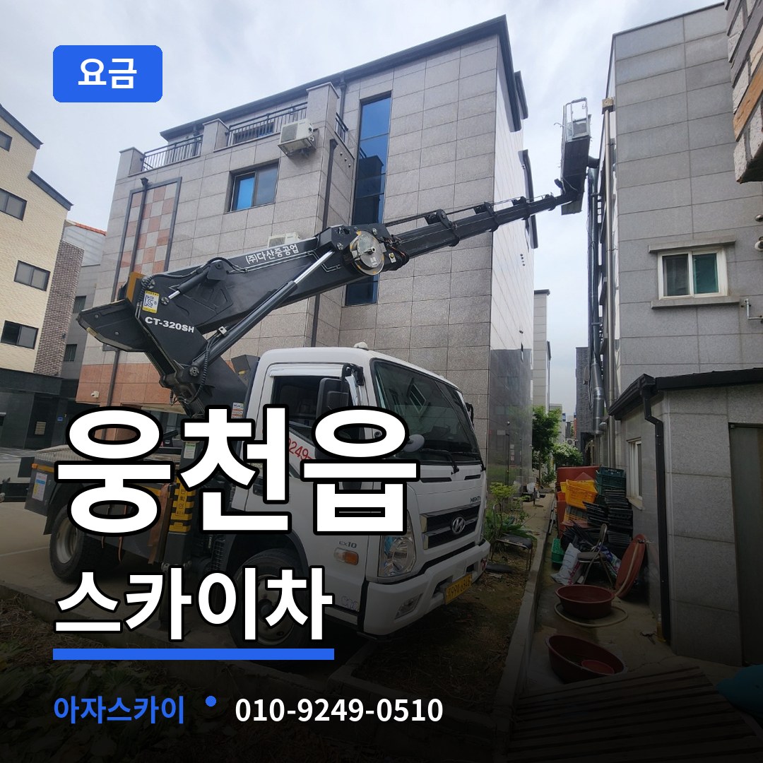 충남 보령시 웅천읍 스카이차 요금