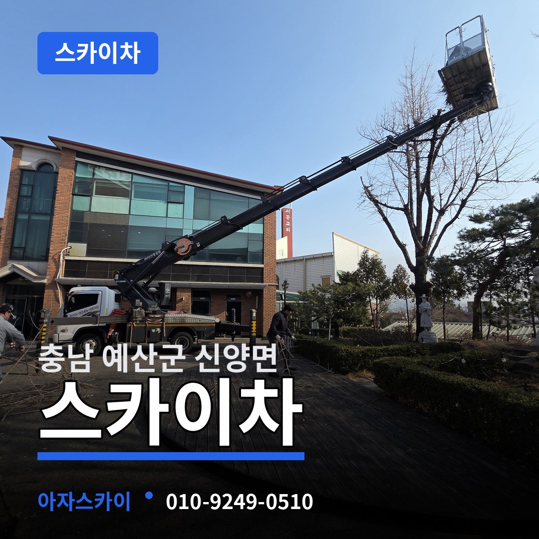 충남 예산군 신양면 스카이차