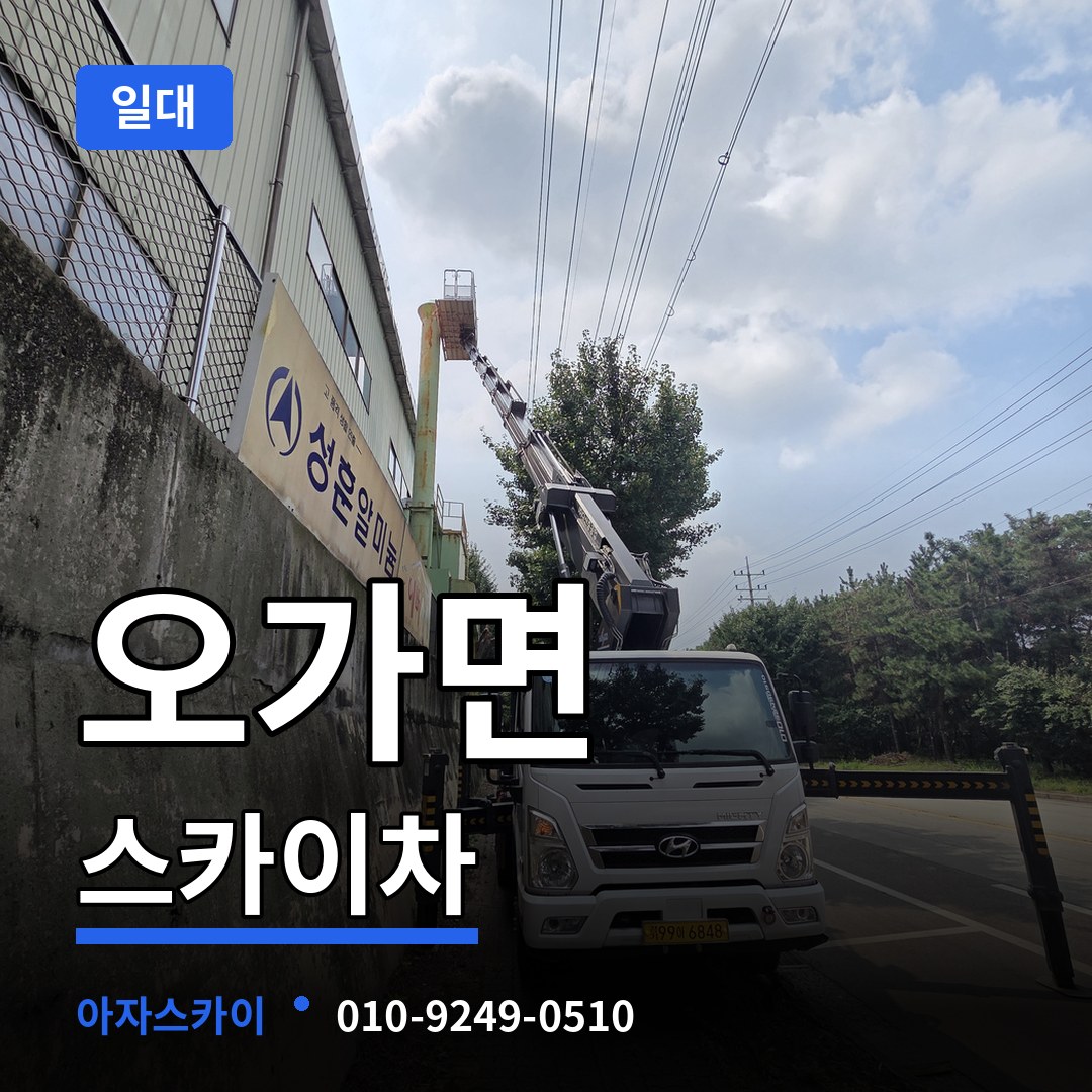 충남 예산군 오가면 스카이차 일대