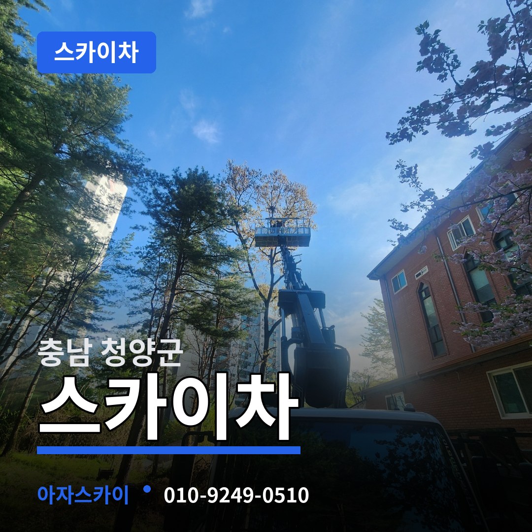 충남 청양군 스카이차